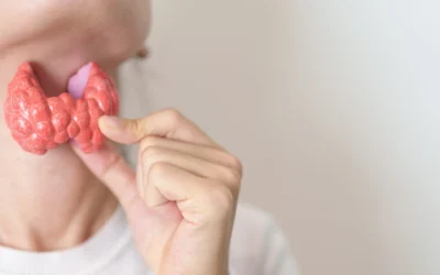 Thyroid Health: A Key to Energy and Metabolism